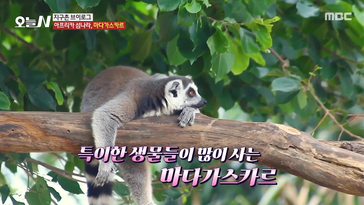 플레이어