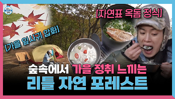 [기획영상] 숲속에서 가을 정취 느끼는🍁 리틀 자연 포레스트🌳 클립