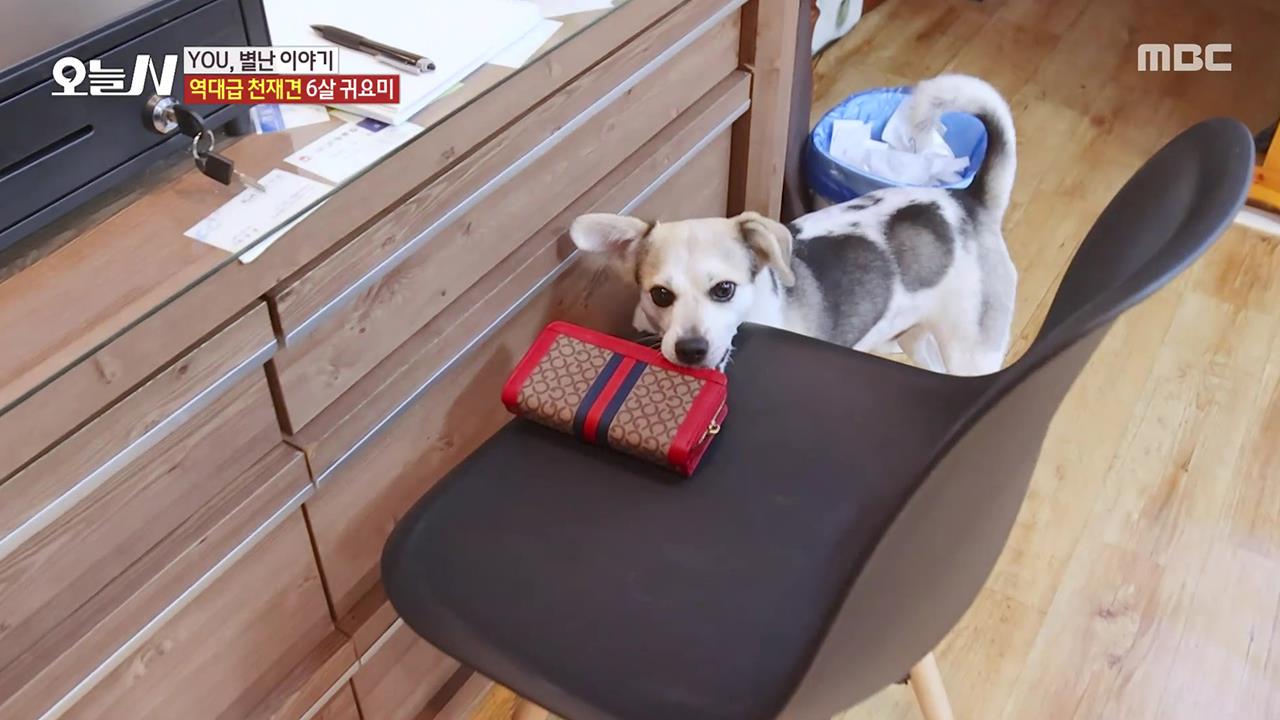 플레이어