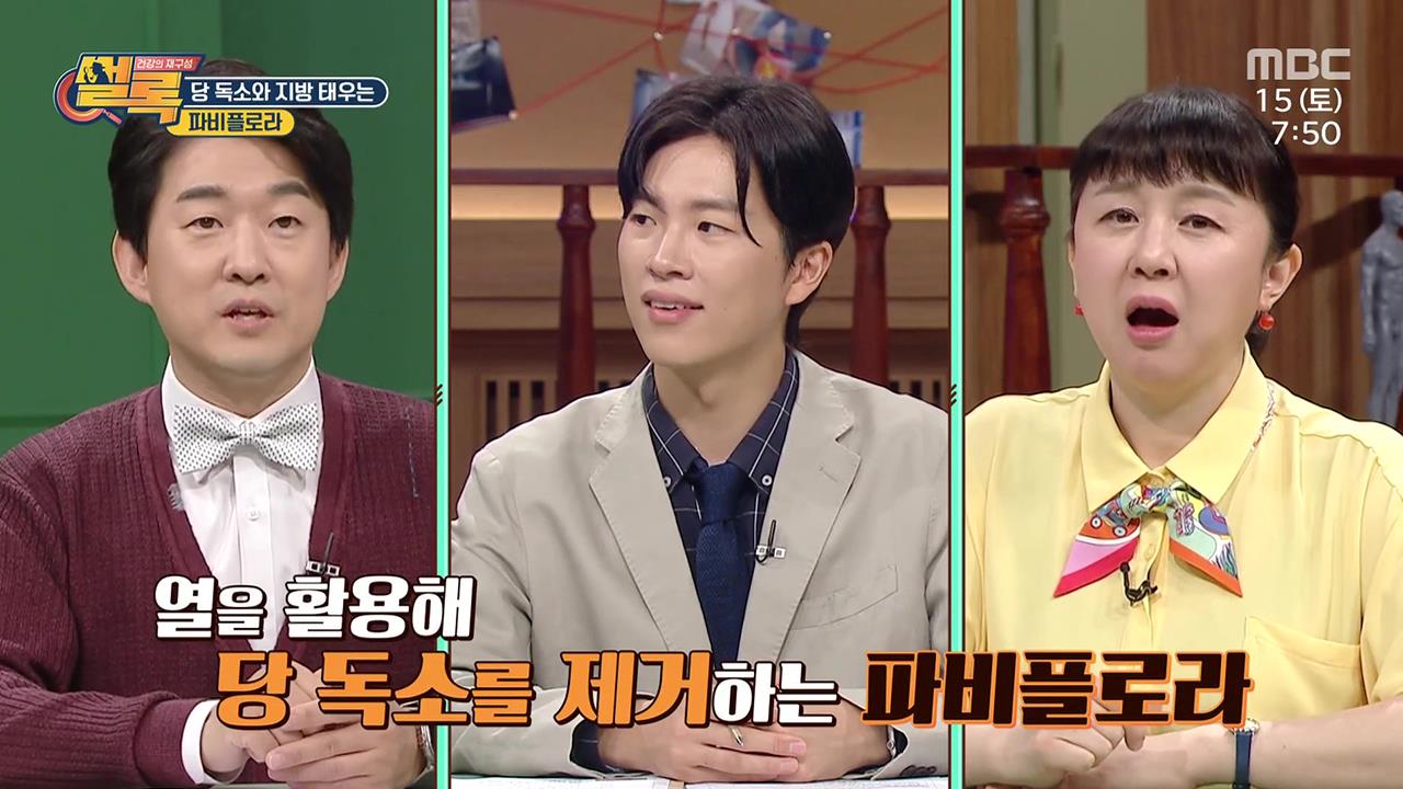 플레이어