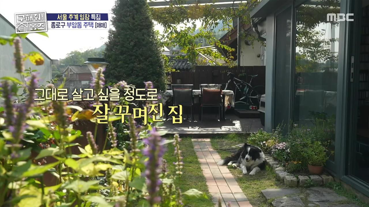 가을 노래와 함께하는 서울 추계 임장!