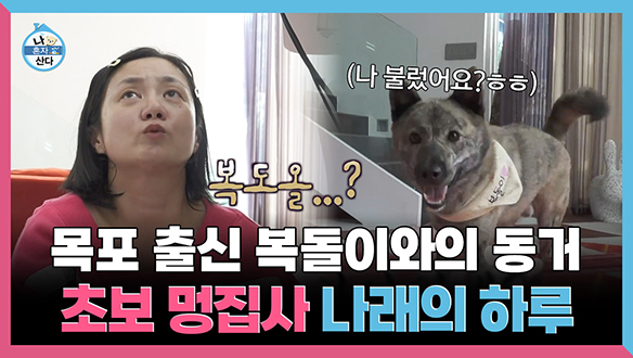 [기획영상] 목포 출신 복돌이와의 동거! 초보 멍집사 나래의 하루