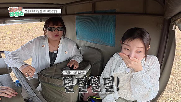 [선공개] 이렇게 가까이서 야생 사자를 보다니...! 클립