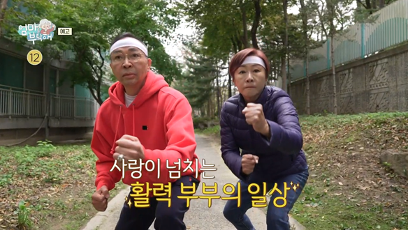 배연정 부부의 암·치매의 배후 만성염증 정복 작전