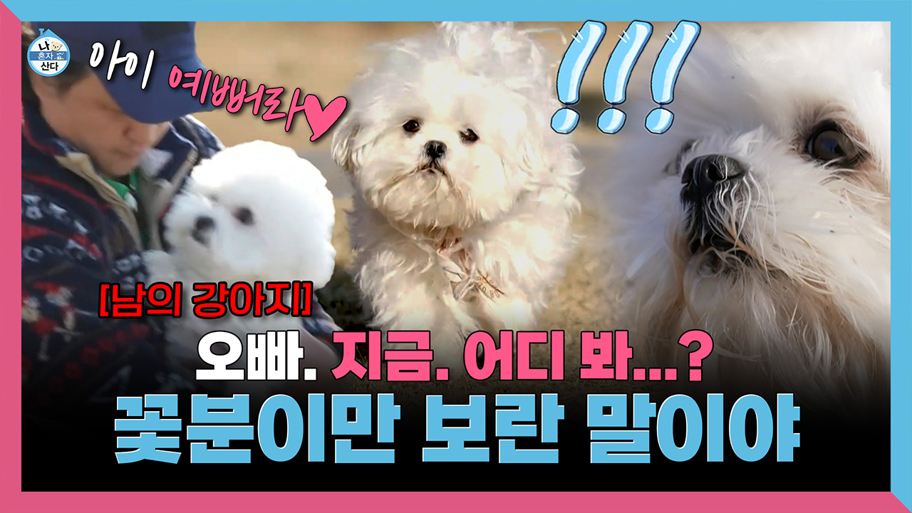 [기획영상] 놀이터에서 꽃분이 질투 폭발🔥 오빠, 지금 대체 누굴 보고 있는거야?