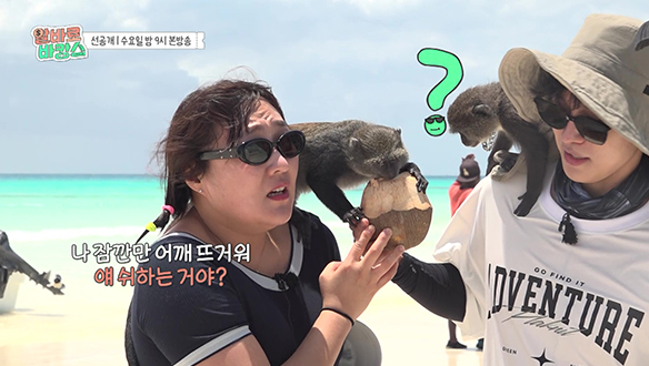 [선공개] 원숭이들의 재능! 알바즈 간식 뺏기, 수지 어깨에 실례하기? 😱