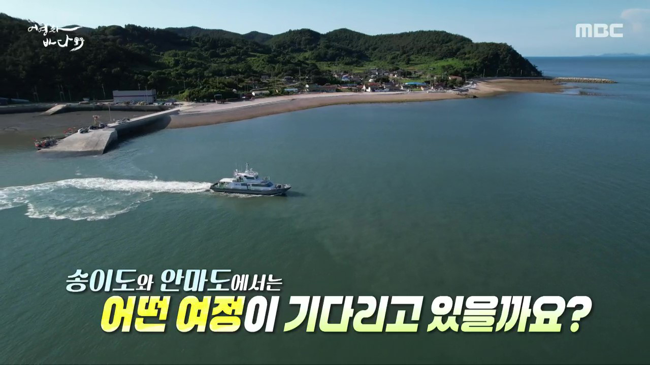 MBC 네트워크특선 푸른백세 어영차 바다야 (12/7)