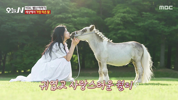 1. 아무도 못 말려~ 사춘기 월리! <br>2. 겨울 동해 바다 귀한 생선 ‘청어’ <br>3. 그 굴이 알고 싶다! <br>4. 맛도 추억도 몽글몽글~ 가마솥 순두부