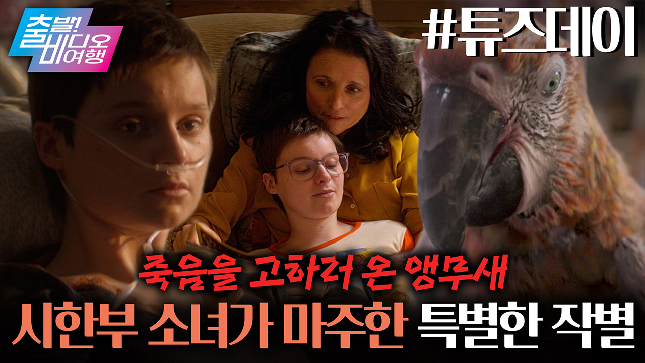 나만 알기 아까운 이정재의 귀염뽀짝한 시절┃젊은 남자, MBC 220925 방송 | 메이킹 | 출발! 비디오 여행 | 만나면 좋은 친구  MBC