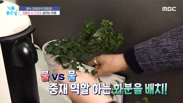 새해 福 받는 법! '이것' 모르면 나만 손해?