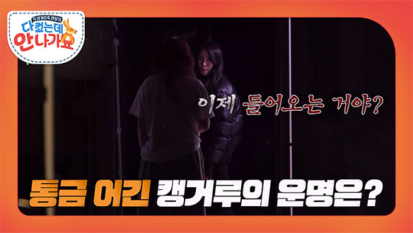 다 컸는데 안 나가요 11회