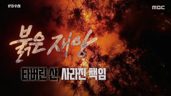 붉은 재앙 - 타버린 산, 사라진 책임