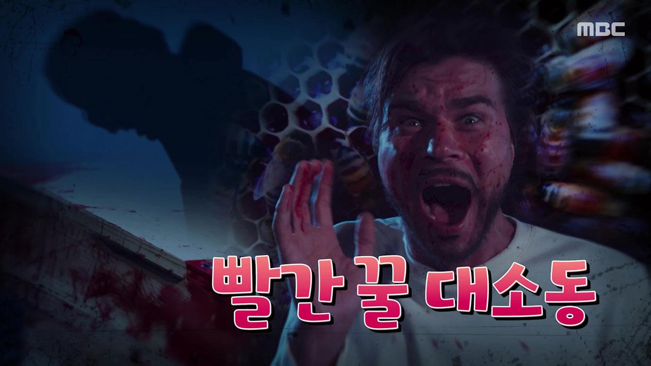 신비한 TV 서프라이즈 1161회 재방송 다시보기