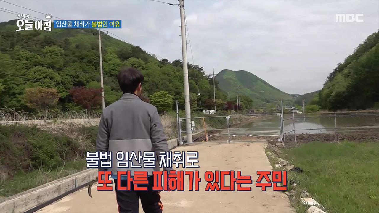 생방송 오늘 아침 4630회 재방송 다시보기