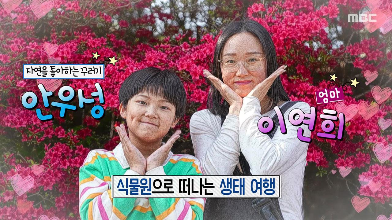 플레이어