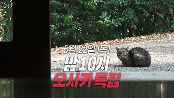 [선공개] 숲속의 요새 같은 느낌🏰 규모가 엄청난 이번 매물😮
