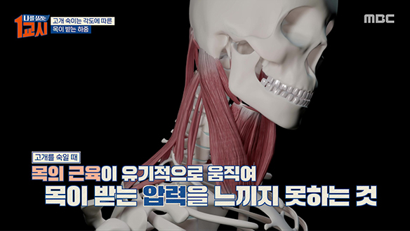 거북목 증후군에서 벗어날 수 있는 법부터 무더운 여름철 혈당 관리하는 방법
