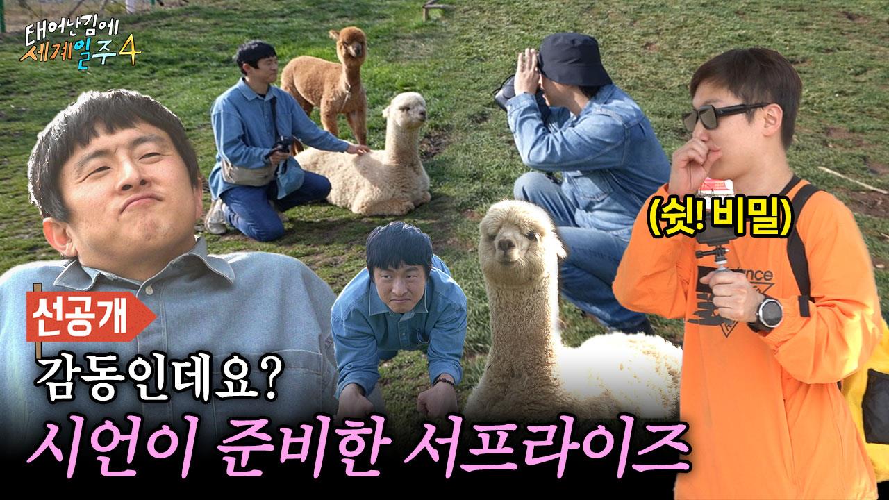 [선공개] 3년간의 염원이 이루어지는 날?!✨ 기안84, 알파카와 함께 찍은 사진📸 클립