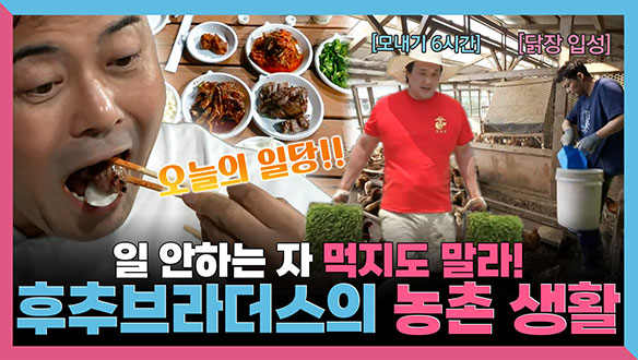[기획영상] 일 안하는 자 먹지도 말라!🐜 후추 브라더스의 농촌 생활🌾 클립