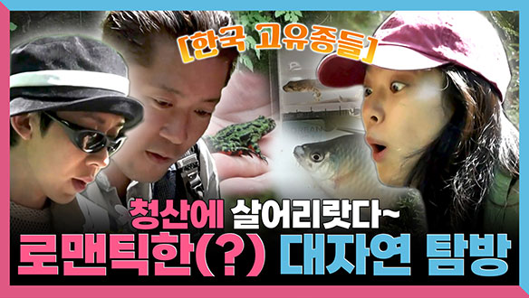 [기획영상] 살어리랏다, 청산에 살어리랏다🏔️ 로맨틱한(?) 대자연 탐방🐸 클립