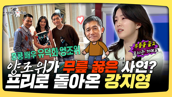 [기획영상] 양조위가 무릎 꿇은 사연? 프리로 돌아온 강지영 클립