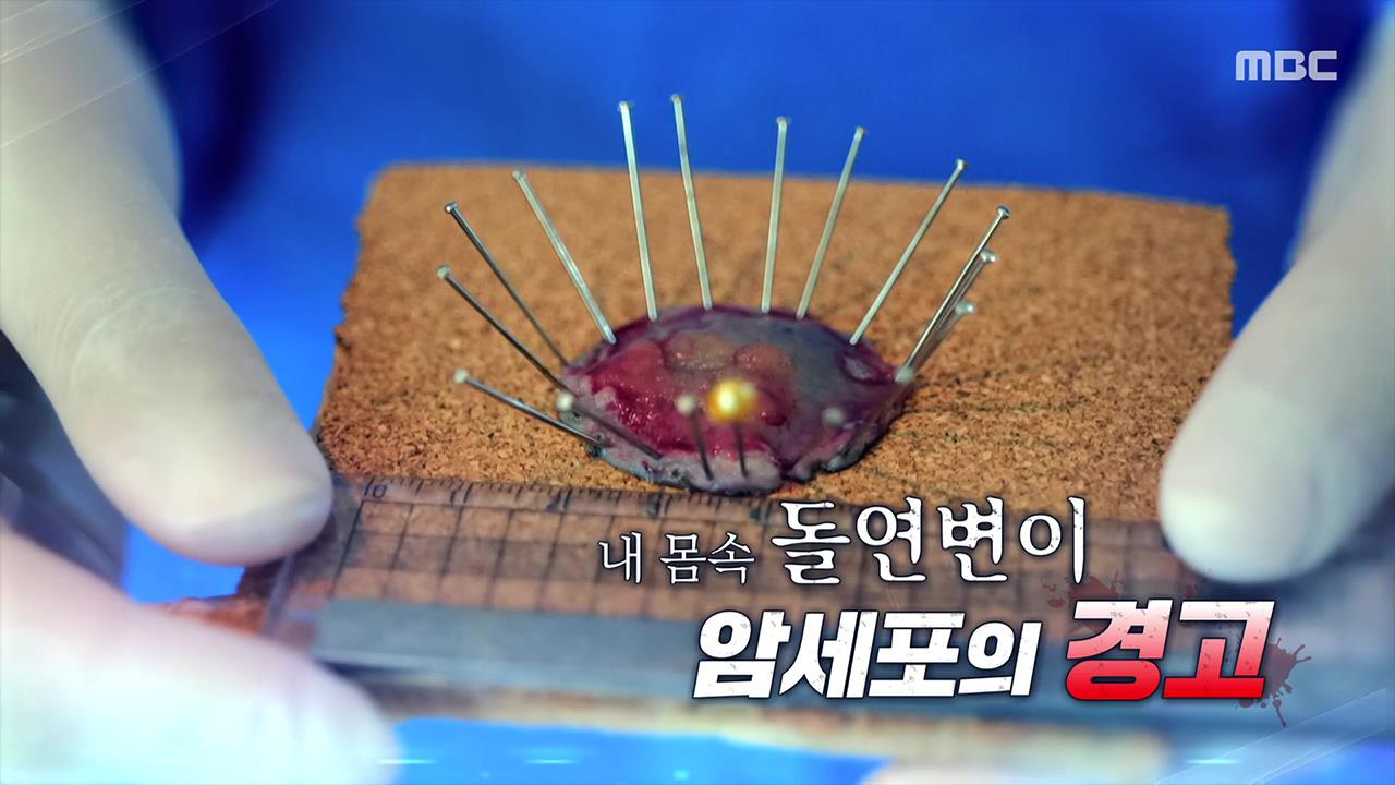 플레이어