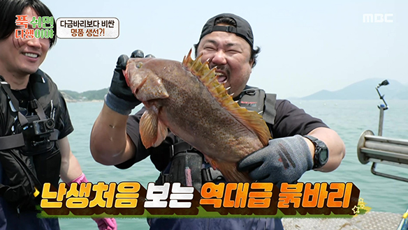 안CEO와 함께 하는 만능 일꾼 고창석 X 지치지 않는 경주마 장혁! 일식 명장 안유성까지!