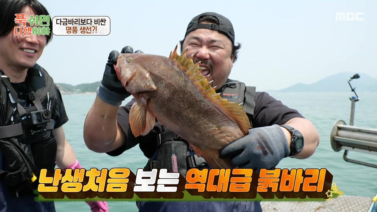 플레이어