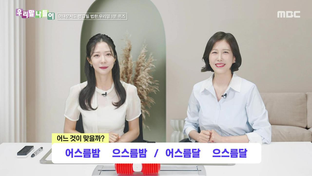 플레이어