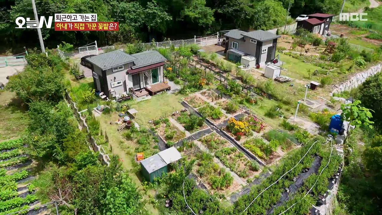 플레이어