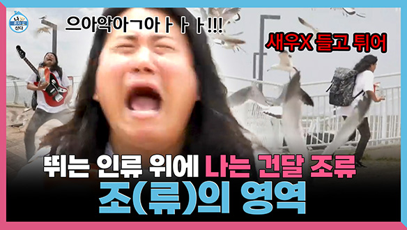 [기획영상] 뛰는 인류 위에 나는 건달 조류💪 조(류)의 영역🐦 ⬛ 클립