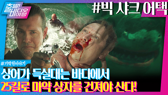 초대형 상어 피하려다 마약 조직에 붙잡힌 사연 클립