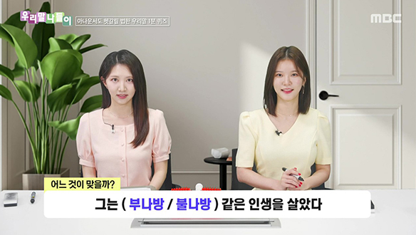 부나방 / 불나방