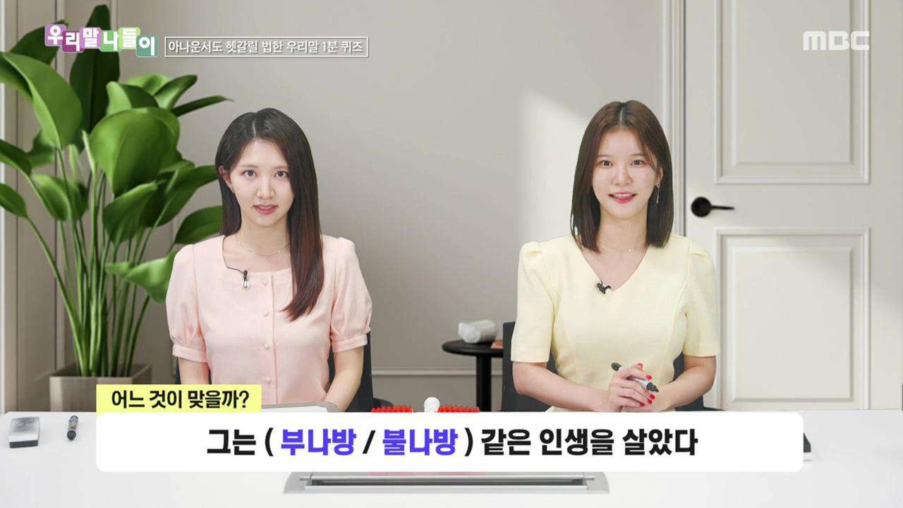 플레이어