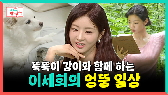 [기획영상] 똑똑이 천재견 강이🐶와 함께 보내는 예능 루키 이세희의 엉뚱한 일상😋 클립