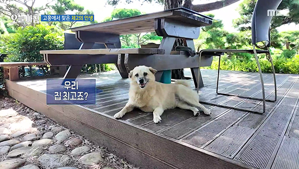 1. 사상자 18명! 노후 아파트 또 화재 <br>2. 부부가 만든 거대한 초록 숲 <br>3. '염生염死' 보성 흑염소 가족 (1부) <br>4. 부부가 만든 거대한 초록 숲