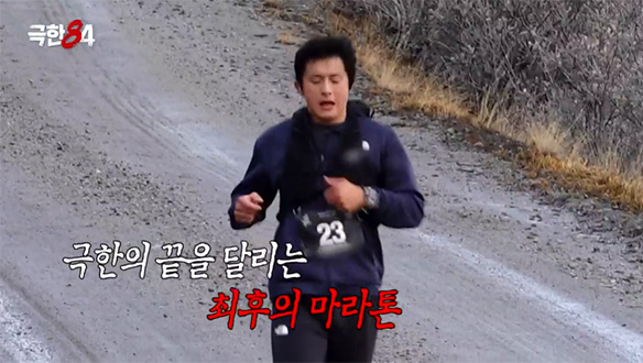 북극곰과 뛸 수 있는 절호의 기회