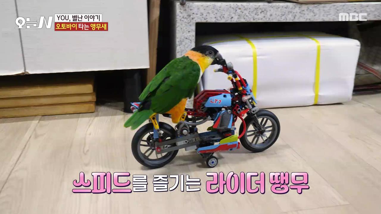 다시보기 | 오늘N | 만나면 좋은 친구 MBC