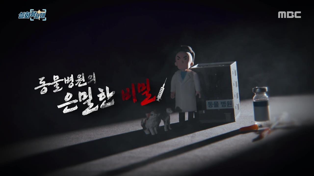 플레이어