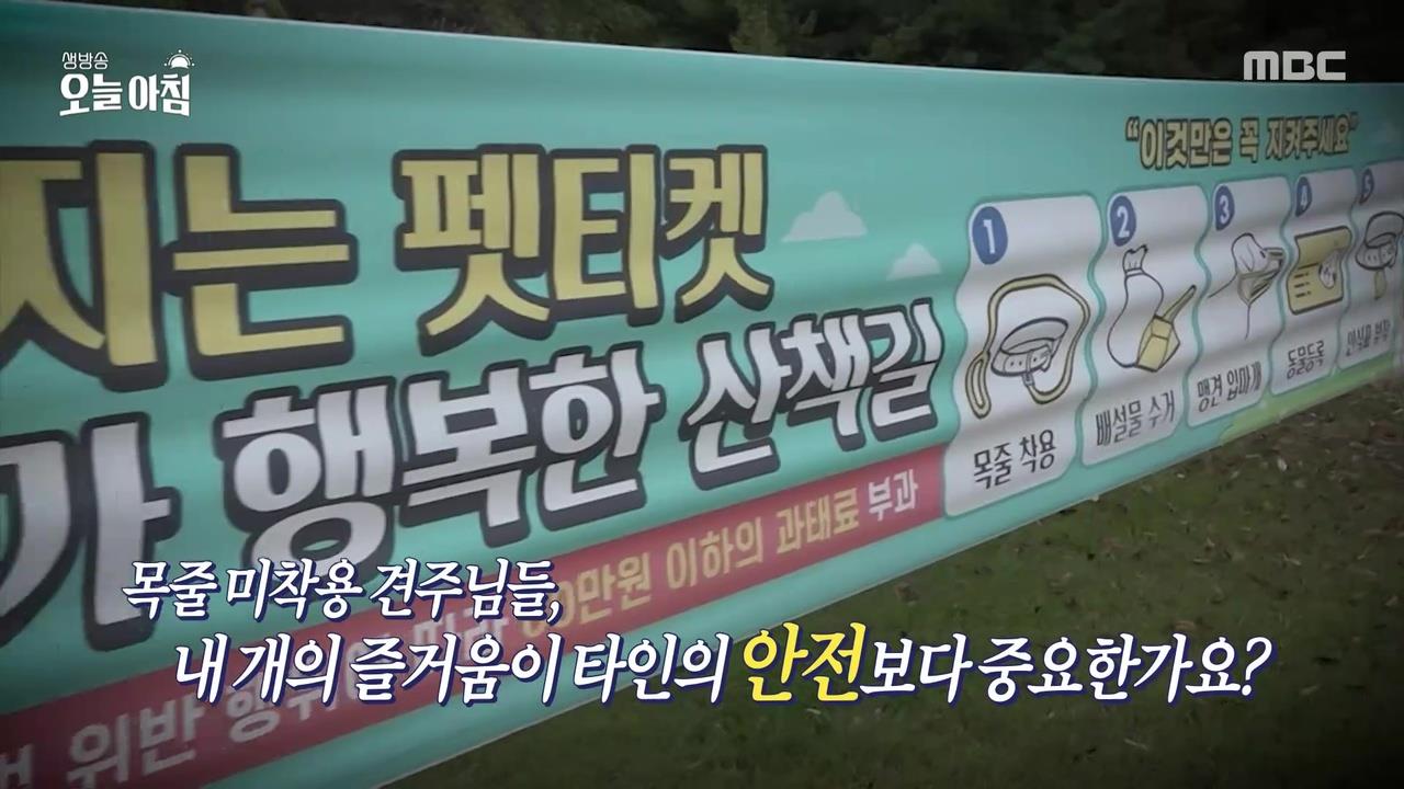 플레이어