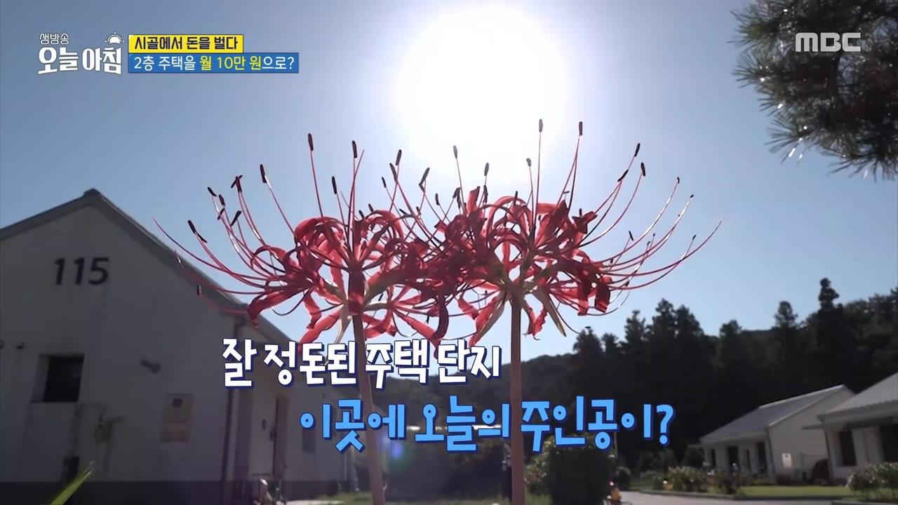 잘 정돈된 주택 단지 이곳에 오늘의 주인공이?