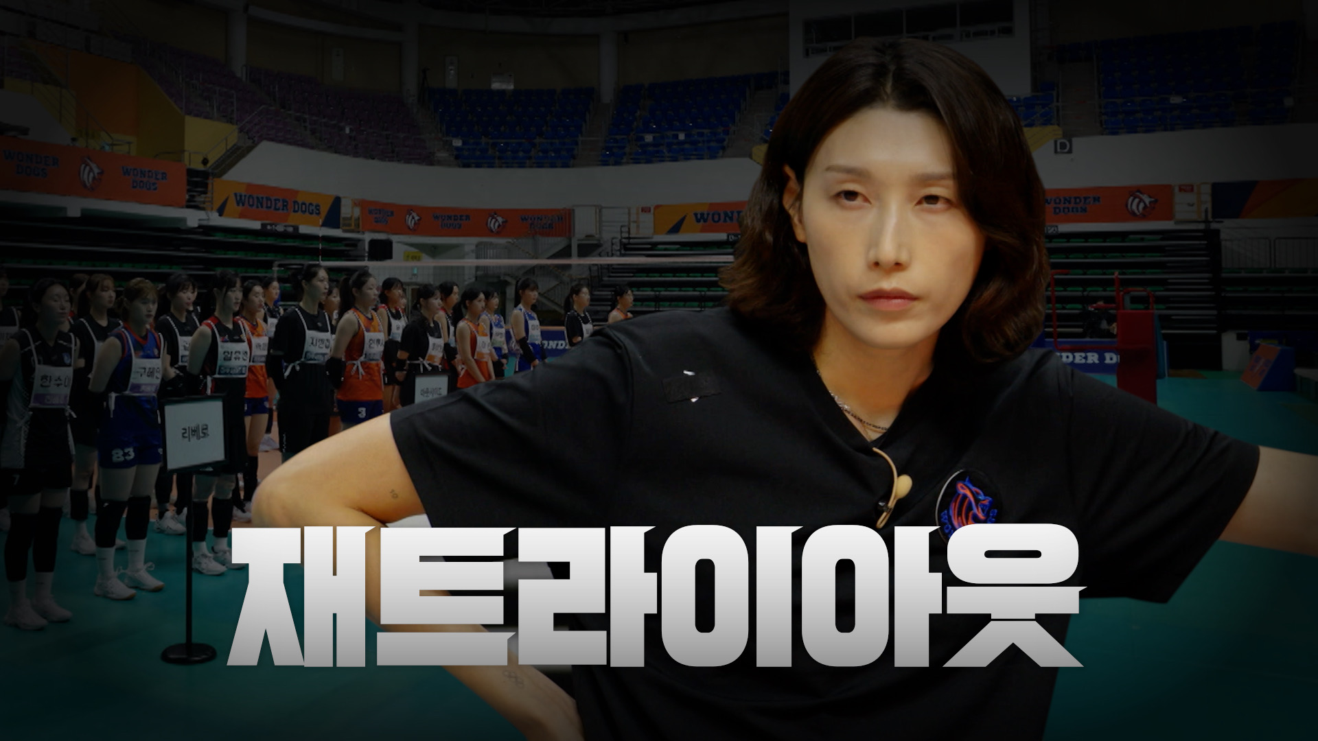 플레이어