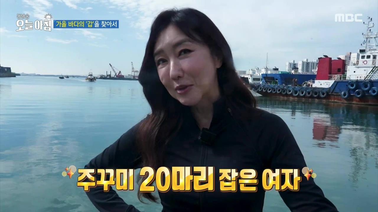 플레이어