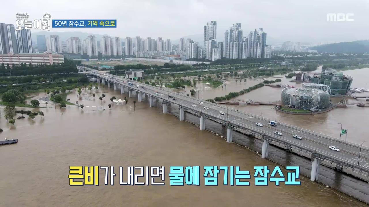 플레이어