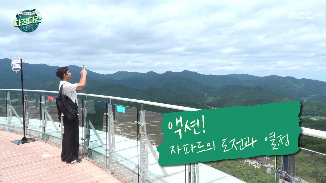 플레이어