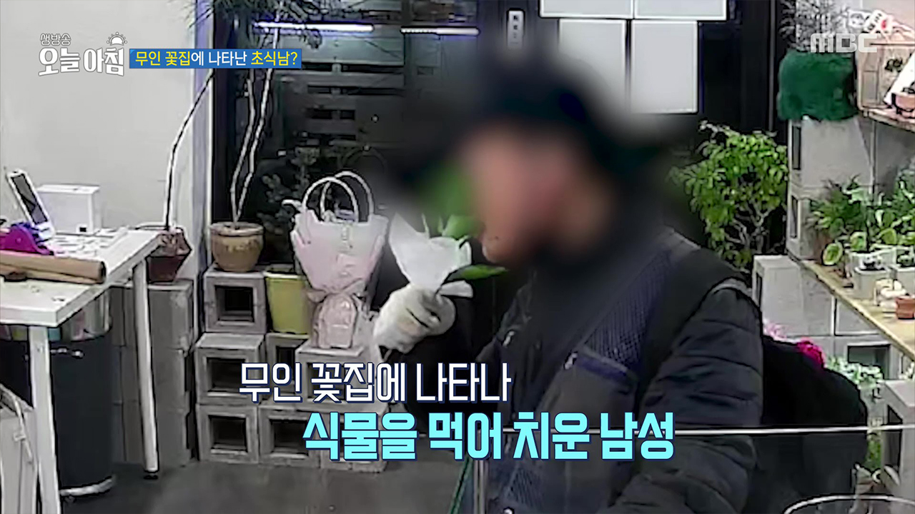 1. 반려견 ‘곰순이’ 도난 사건<br>2. 무인 꽃집에 나타난 초식남?<br>3. 하루아침에 증발한 2인자<br>4. 정반대의 매력! 색다른 닭 요리