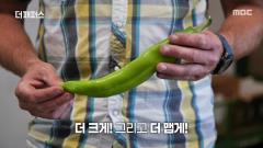 MBC 네트워크특선  1793회