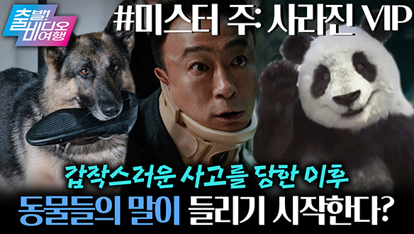 실수로 넘어졌을 뿐인데, 동물들의 말이 들리기 시작한다면?!┃미스터 주: 사라진 VIP