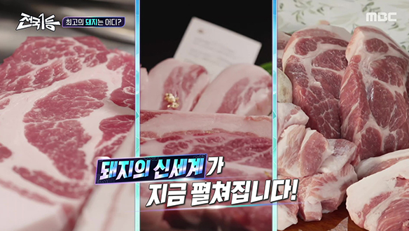 한국인의 밥상을 책임져온 국민 식재료, 돼지!