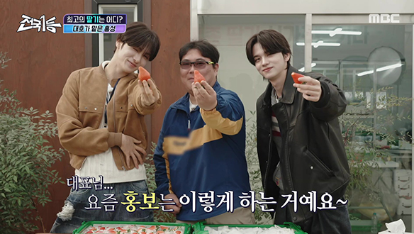 대한민국을 가장 달콤하게 물들일, 딸기 🍓